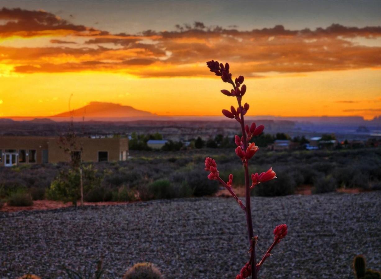 Page Arizona Border Town- Grand Serenity Room With Mesa Views ビッグ・ウォーター エクステリア 写真